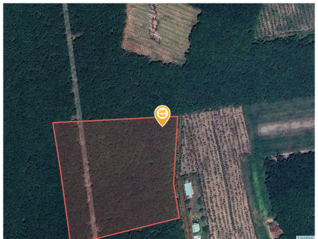 Bán đất 250m² ngang 5m giá 500 triệu Xã Phước Thành