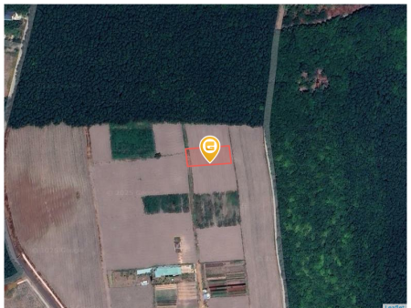 Bán đất 1006.9m² ngang 20m giá 720 triệu Xã Nha Bích