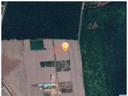 Bán đất 1000.6m² ngang 20m giá 600 triệu Xã Nha Bích