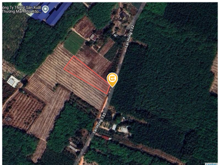 Bán đất 2450m² ngang 20m giá 250 triệu Phường Bến Cát