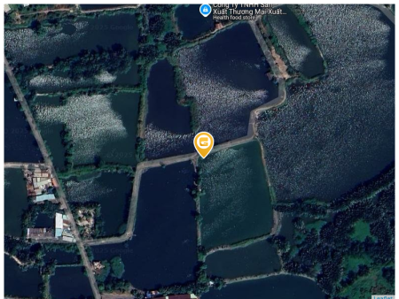 Bán đất 5000m² giá 15 tỷ Xã Bình Hưng