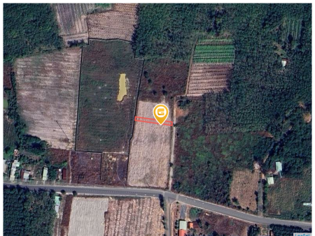 Bán đất 276.5m² ngang 5m giá 170 triệu Phường Chơn Thành