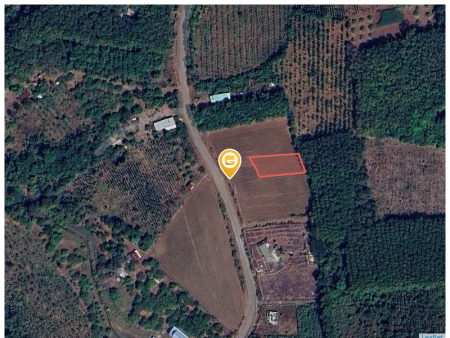 Bán đất 280m² ngang 5m giá 140 triệu Xã Tân Hưng