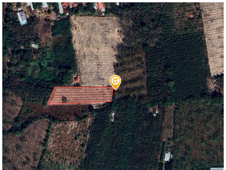 Bán đất 4034.5m² ngang 30m giá 720 triệu Xã Long Hòa