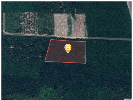 Bán đất 10215.6m² ngang 110m giá 9.5 tỷ Xã An Long
