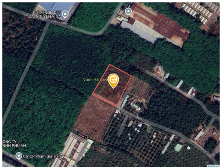 Bán đất 3937.6m² ngang 57m giá 15 tỷ Phường Phú An