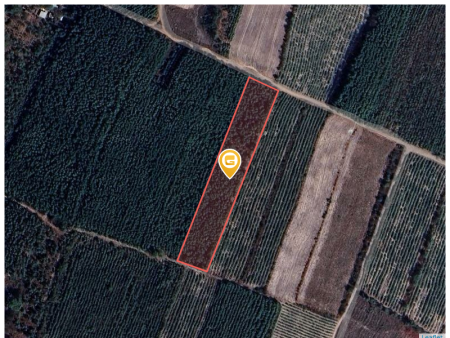 Bán đất 24000m² giá 60 tỷ Xã Phước An