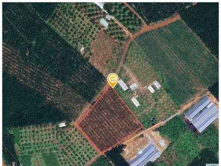 Bán đất 10780m² ngang 110m giá 1.8 tỷ Xã Đồng Phú 2 mặt tièn