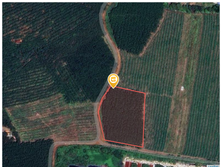 Bán đất 10191.6m² ngang 210m giá 11 tỷ Xã Đồng Phú