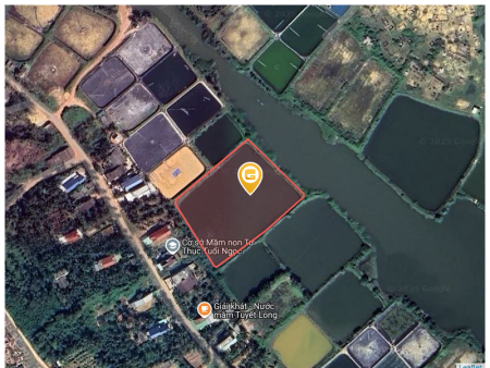 Bán đất 7551.8m² giá 900 triệu Phường Hoài Nhơn Đông