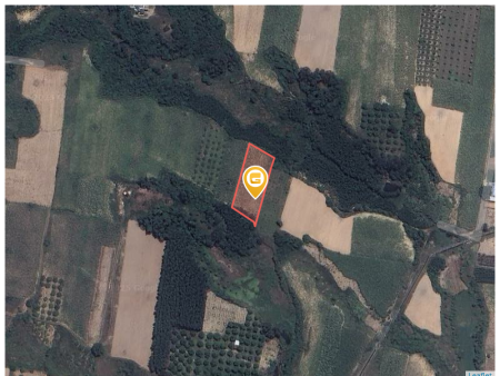 Bán đất 1603.5m² Xã Cam An