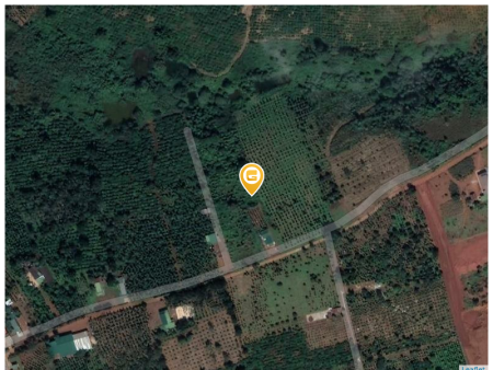 Bán đất 13000m² giá 4 tỷ Xã Đức An