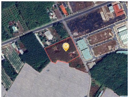 Bán đất 7558.9m² có sẵn 50m² thổ cư ngang 60m giá 500 triệu tại Đường N31 Phường Minh Hưng