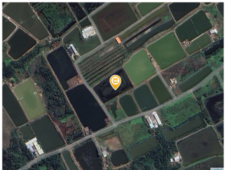 3825m2 đất lúa ấp Bắc, Đông Thạnh, Cần Giuộc, Long An, giá 1tỷ/ công thương lượng