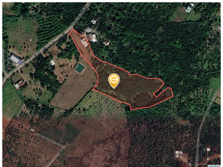Bán đất 11136.1m² có sẵn 100m² thổ cư ngang 20m giá 6.6 tỷ tại Xã Cẩm Mỹ