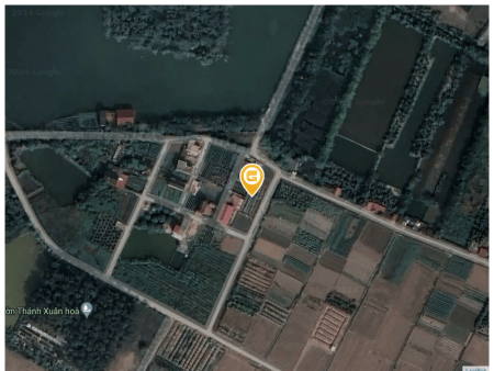 Bán đất 160m² 1.6 tỷ tại Xã Đại Xuân Huyện Quế Võ