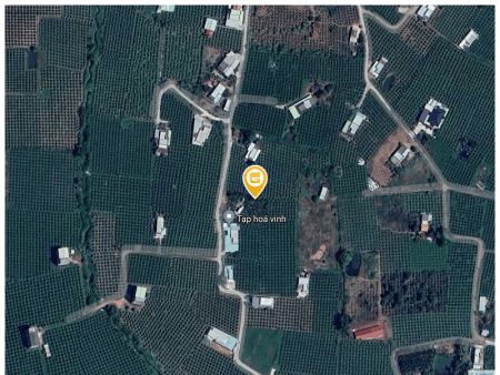 Tạp Hóa Vinh
