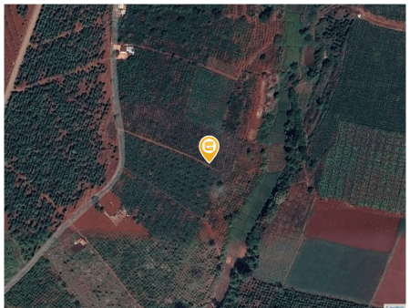 Bán nhà 12000m² 4 tỷ tại Xã Chư Pơng Huyện Chư Sê