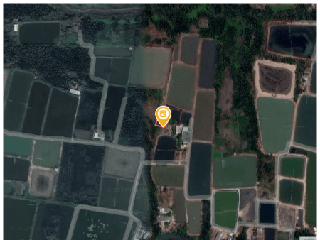Bán đất 105.6m² tại Xã Phước Vĩnh Tây Huyện Cần Giuộc