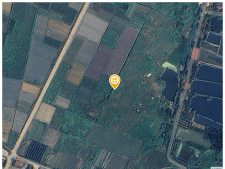 Bán đất tại Xã Đoàn Thượng Huyện Gia Lộc