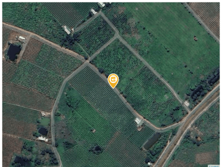 Bán đất 10000m² tại Xã Hàm Kiệm Huyện Hàm Thuận Nam