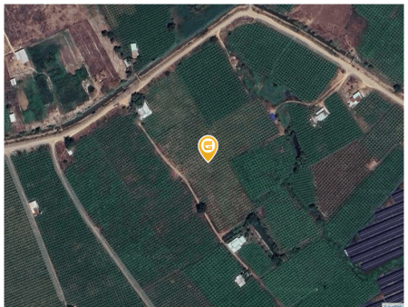 Bán đất 10000m² 350 triệu tại Xã Hàm Thạnh Huyện Hàm Thuận Nam