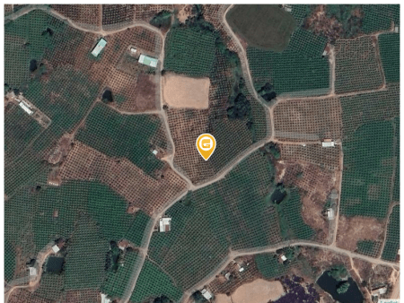 Bán đất 1000m² tại Xã Hàm Thạnh Huyện Hàm Thuận Nam