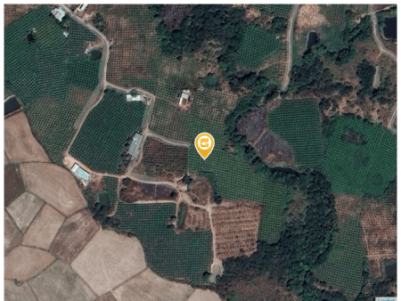 Bán đất 8200m² 1.1 tỷ tại Xã Hàm Thạnh Huyện Hàm Thuận Nam