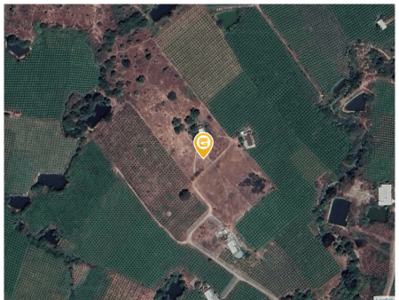 Bán đất 10000m² tại Xã Hàm Thạnh Huyện Hàm Thuận Nam