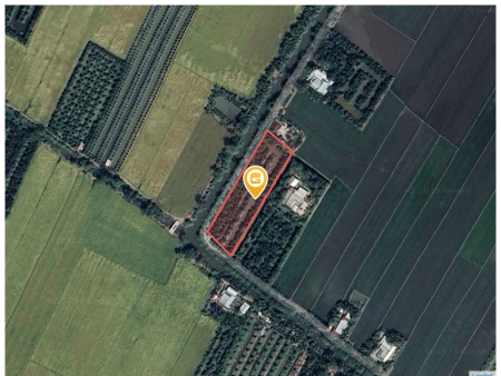 Bán đất 3409m² Huyện Cai Lậy