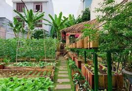 Bán đất 890.4m² giá 6 tỷ, 3 phút tới Chợ Đêm Dương Đông, ngay Vòng Xoay Búng Gội giao Tuyến Tránh 2 , Đặc khu Phú Quốc