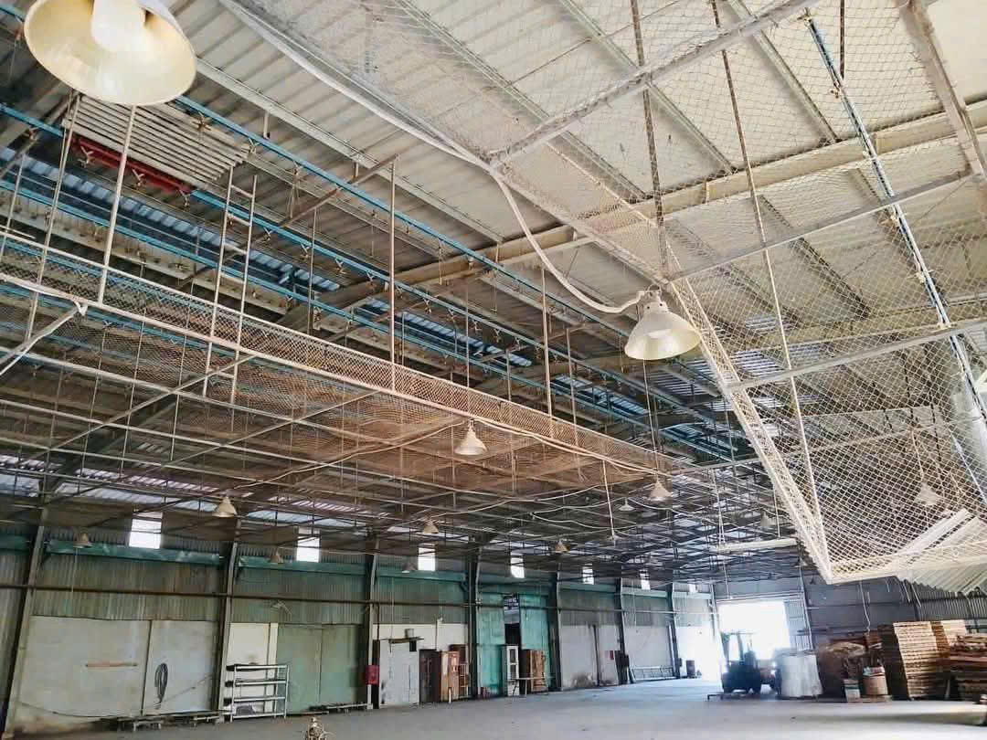 Bán Xưởng Tân Phước Khánh, Tân Uyên – 2.249m², Mặt Tiền 35m, Thu Nhập Ổn Định – Giá Chỉ 13 Tỷ! Liên hệ ngay: 0366 632 092