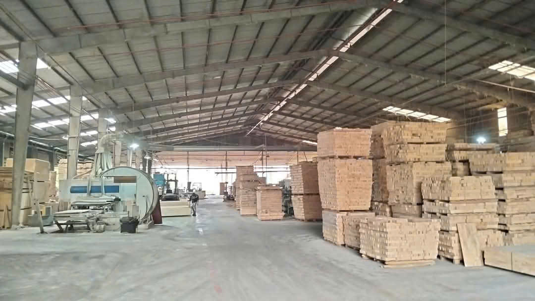 CHO THUÊ XƯỞNG TÂN VĨNH HIỆP – TÂN UYÊN – BÌNH DƯƠNG Diện tích đất: 6.000m²  Liên hệ ngay để xem xưởng: 0366.632.092 (Zalo/Call)
