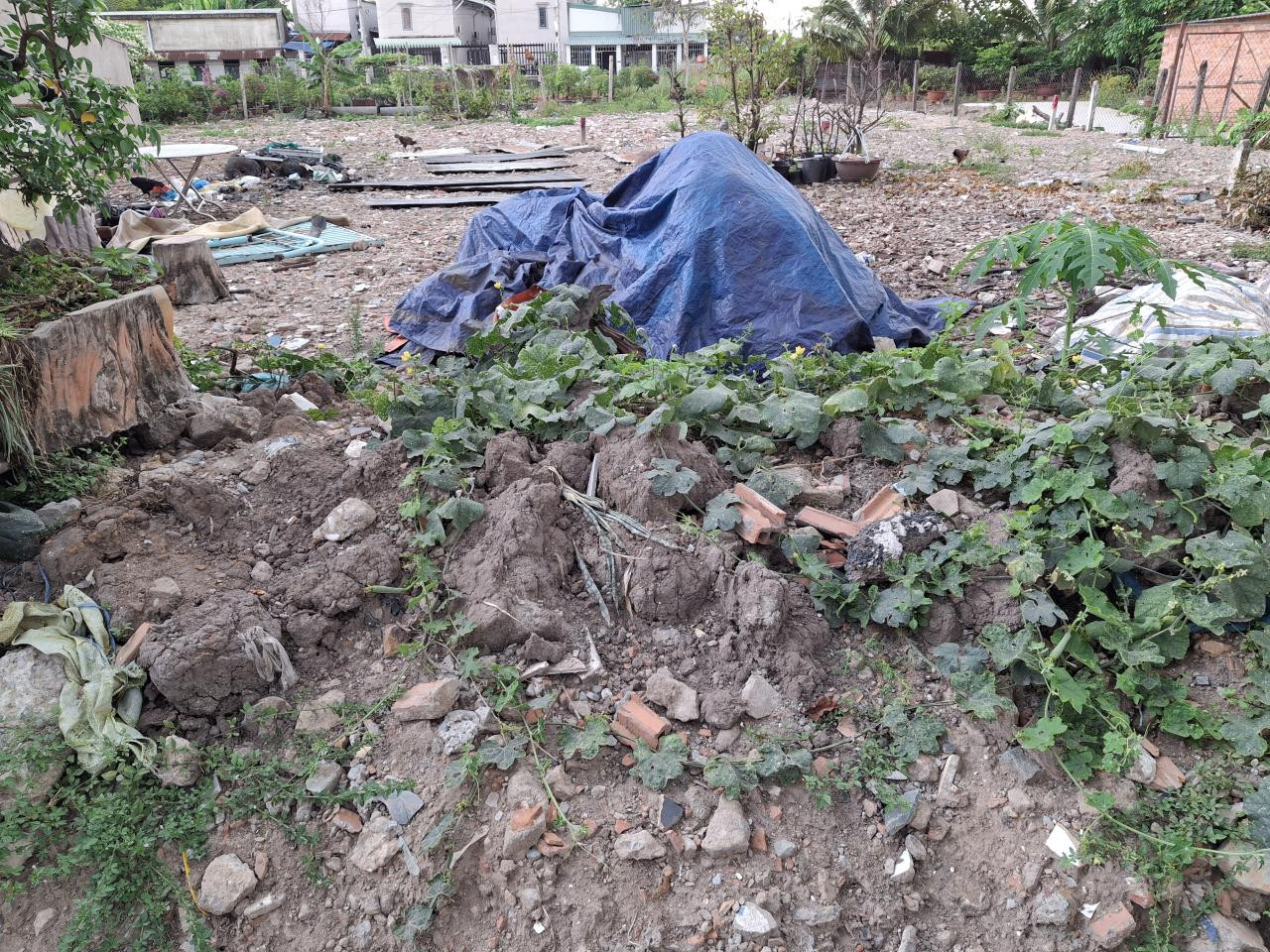 🔥 Đất 168m², Vuông, Đ.6m – Vườn Lài Q12