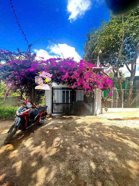 BÁN CĂN NHÀ MT ĐẸP XINH       🍍 Chỉ :1 tỷ 180 tr          Giá Chốt Trong Tuần.  Nhà Mặt Tiền Đường Nhựa 2 Oto Né Nhau,Tiện Ích Bao Quanh      🧶DT:5x40           Tc;60     Hướng Nam   Sân oto, Phòng Khách, 2 phòng ngủ,1wc,Sân sau trồng rau nuôi gà     💃Lh: