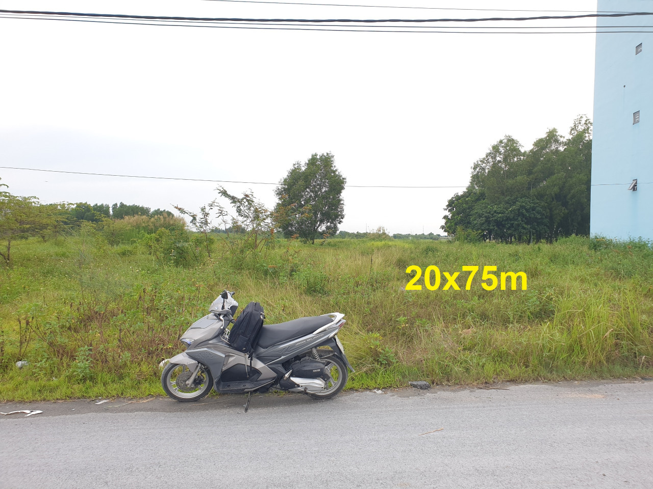 Bán đất thổ vườn xã Tân Thạnh Đông, Củ Chi, mặt tiền đường 107, 20x75m, 1500 m² full thổ cư