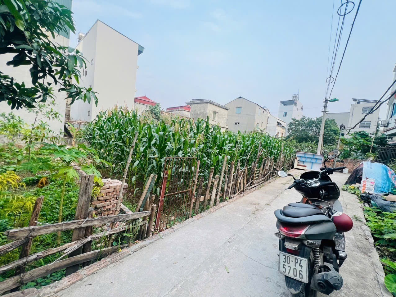 🔥 BÁN ĐẤT PHƯỜNG PHÚC LỢI - LONG BIÊN 🔥