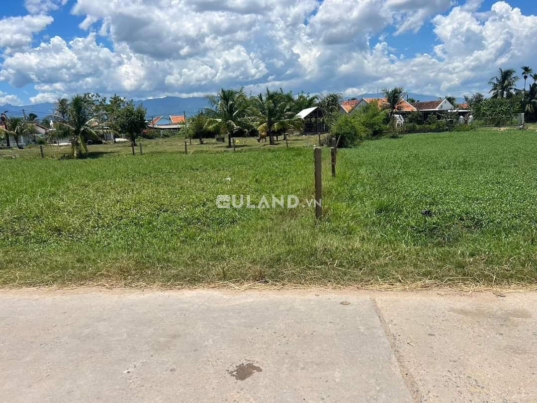 Ngộp cần bán gấp