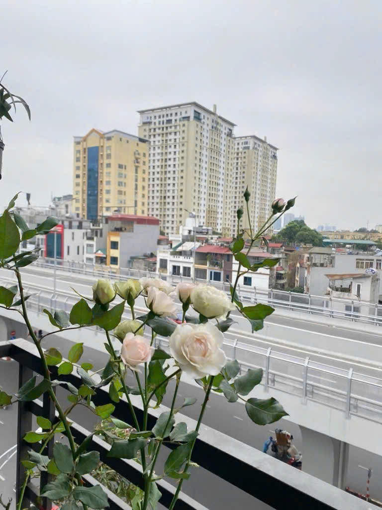 SIÊU HIẾM –MẶT PHỐ MINH KHAI, HAI BÀ TRƯNG NHÀ 7 TẦNG THANGMÁY.
-DT:30M2 - MẶT TIỀN TRÊN 6 MÉT 
DÒNG TIỀN ỔN ĐỊNH VỊ TRÍ ĐẮC ĐỊA, KINH DOANH SẦM UẤT, VỈA HÈ RỘNG. GIÁ CHỈ: 19.9 TỶ.CÓ TL.
