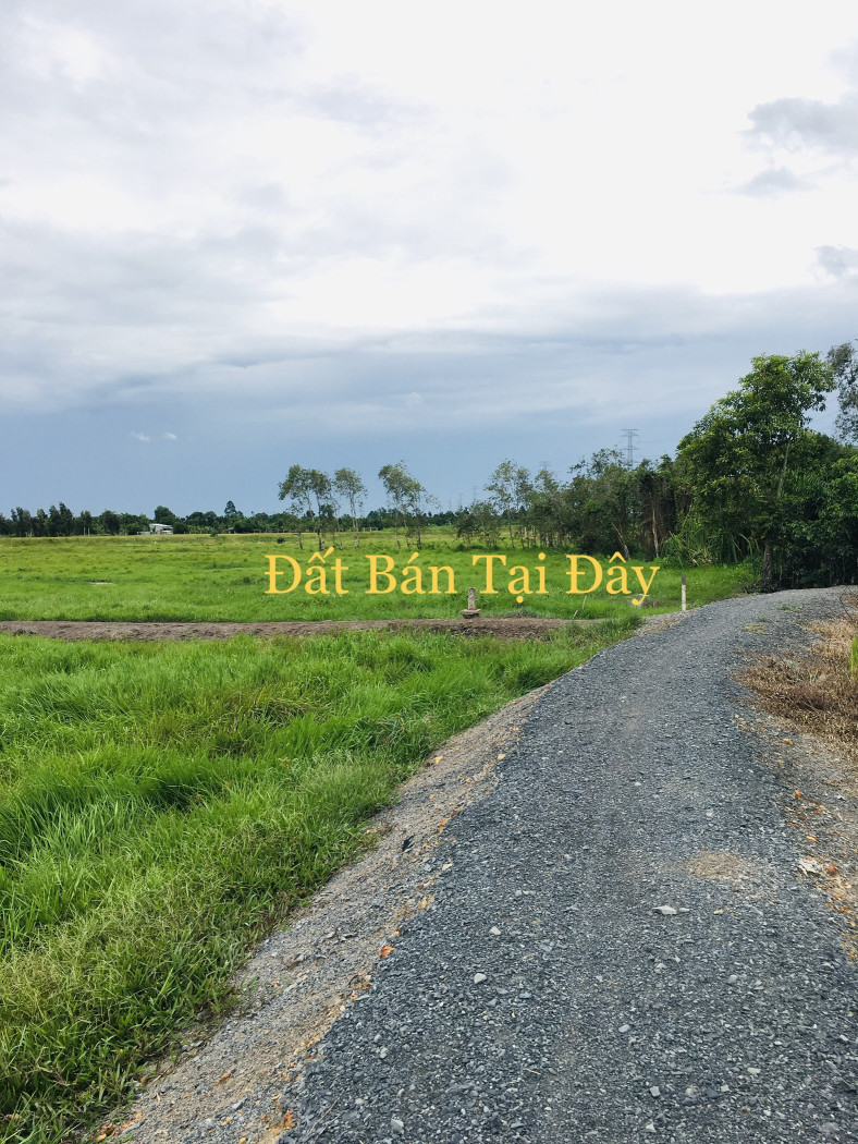 Đất Vườn Ven Sông