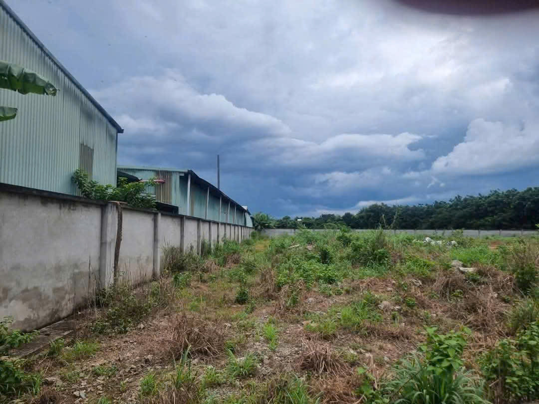BÁN ĐẤT BÀU BÀNG BÌNH DƯƠNG – 5176,5m², ĐÃ CÓ SKC, GIÁ TỐT!
📞 Liên hệ ngay: 0366 632 092