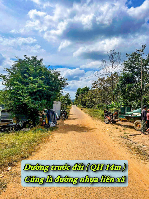Ea Sin-Krong Busk- Đắk Lắk diện tích 260m2 sẵn 100m2 thổ cư kdc mặt tiền nhựa giá chỉ 149tr sổ sẵn