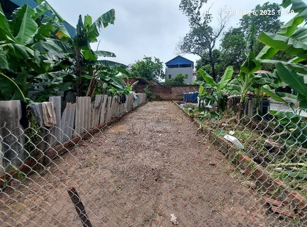 Bán đất Tân Dân, 82m2, mt4m, ô tô, 1.98 tỷ, Sóc Sơn