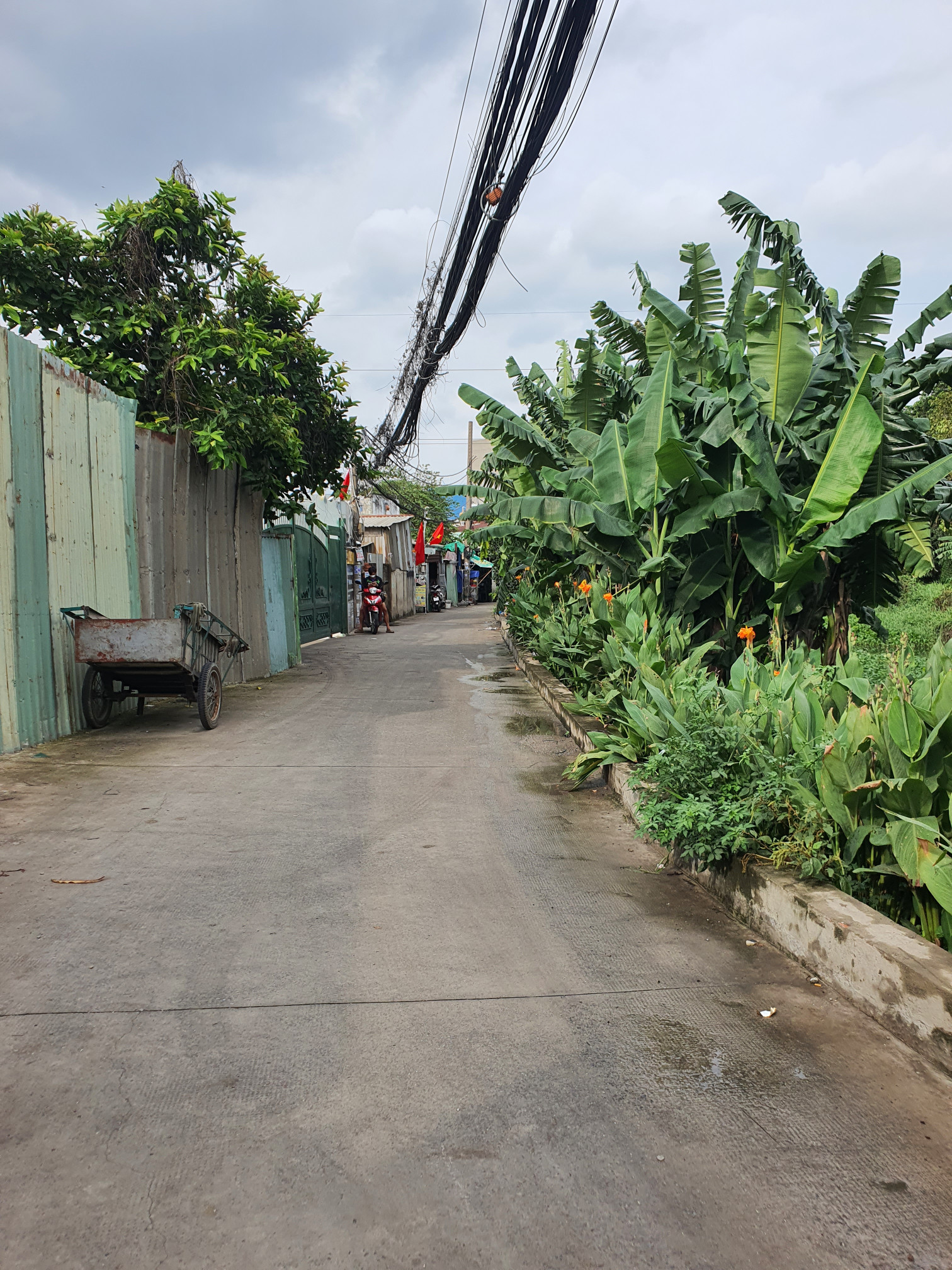 Bán đất thổ cư 1600m² Linh Trung, Thủ Đức - 40 tỷ, sổ đỏ