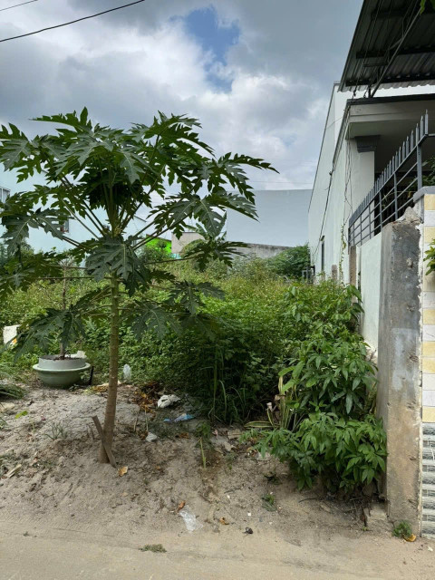 BÁN ĐẤT FULL THỔ CƯ, VĨNH THẠNH, NHA TRANG - GẦN TRỤC ĐƯỜNG D30 – GIÁ CHỈ 16,9 TRIỆU/M² 🔥