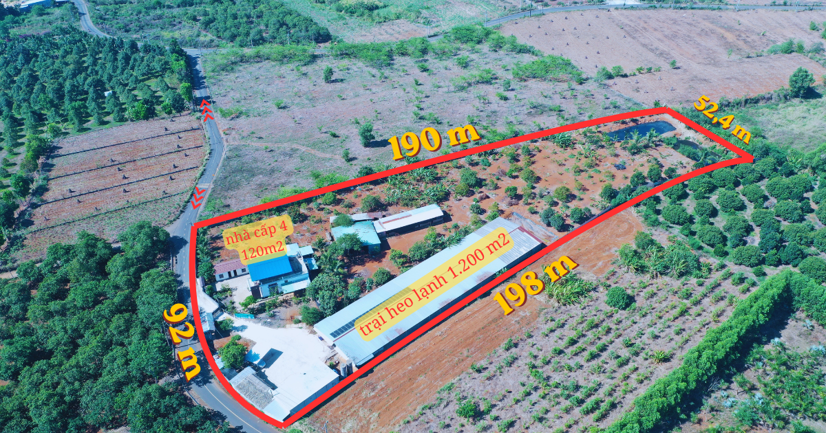bán trang trại lạnh chăn nuôi heo trên quỹ đất 12.433m2 - đang có nguồn thu 30tr/tháng từ cho thuê.