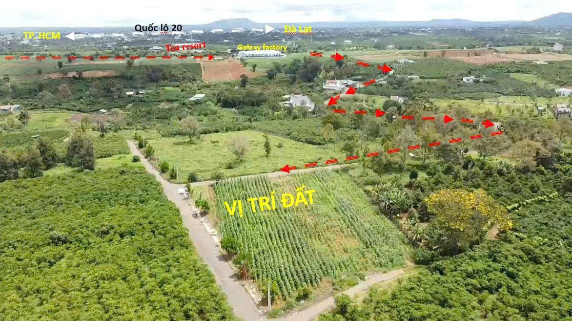 Lộc An- Bảo Lâm- Lâm Đồng dt 259m2 sẵn 118m2 cách trung tâm Bảo Lộc chỉ 6km cách khu nghỉ dưỡng home nổi tiếng Bảo lộc chỉ 500m giá chỉ 6xxtr