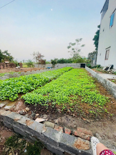 ĐẤT ĐẸP - GIÁ TỐT - Vị Trí Đắc Địa Giáp Thị trấn Chúc Sơn, Huyện Chương Mỹ, Thành phố Hà Nội