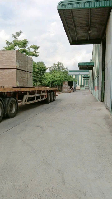Bán Xưởng Đầu Tư Tại Bắc Tân Uyên – Bình Dương.Chủ trương: Gỗ, có SKC đóng tiền một lần đến 12/2069.Diện tích xưởng: 25.700m²/320 tỷ