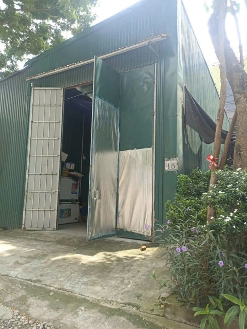 Bán đất phân lô, ô tô tránh Phố Bùi Huy Bích, Hoàng Mai 80 6 17.6 tỷ